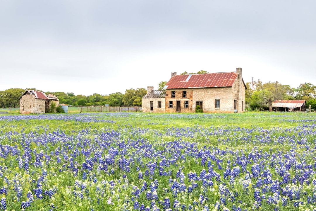 The most overlooked source of homes for first-time buyers — Texas real estate